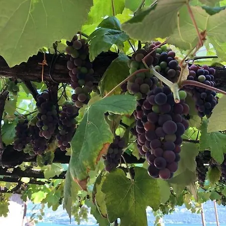 Relax And Enjoy The Breathtaking Views *