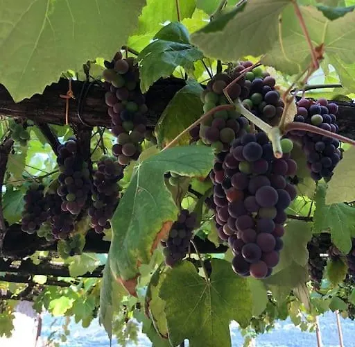 Relax And Enjoy The Breathtaking Views *